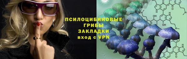 сатива Верхний Тагил
