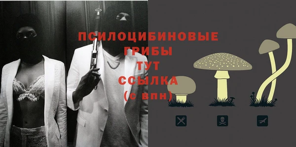 спиды Волосово