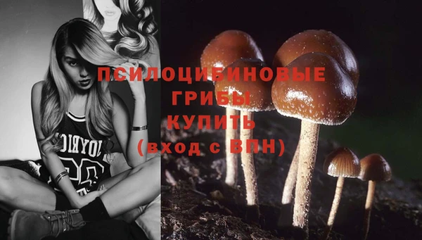спиды Волосово